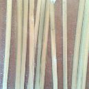 Bambu Palma de Agua